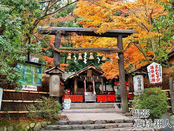 野宮神社源氏物語3