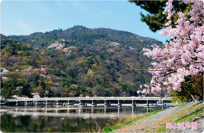 嵐山6502